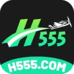 H555 Game