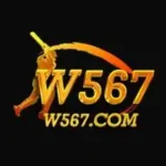 W567 Game