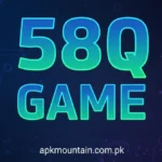 58Q Game
