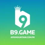B9 Game