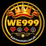 WE999 Game