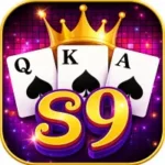 S9 Game