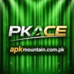 PKace Game