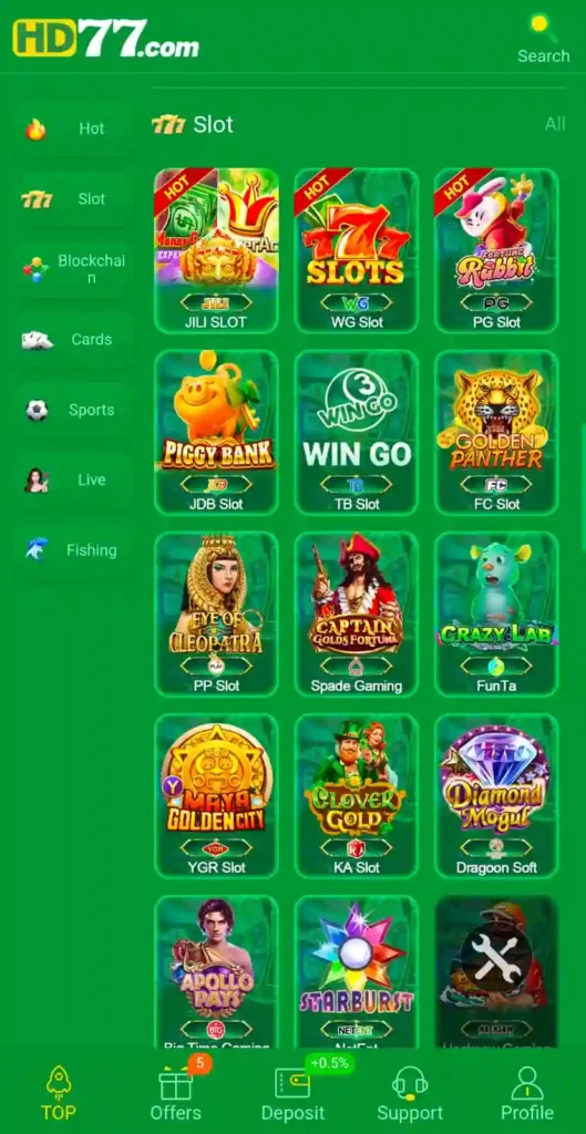 HD77 Game