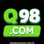 Q98 Game