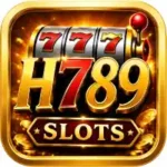 H789 Game
