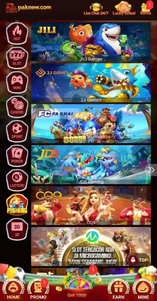 Pak New Game 2026