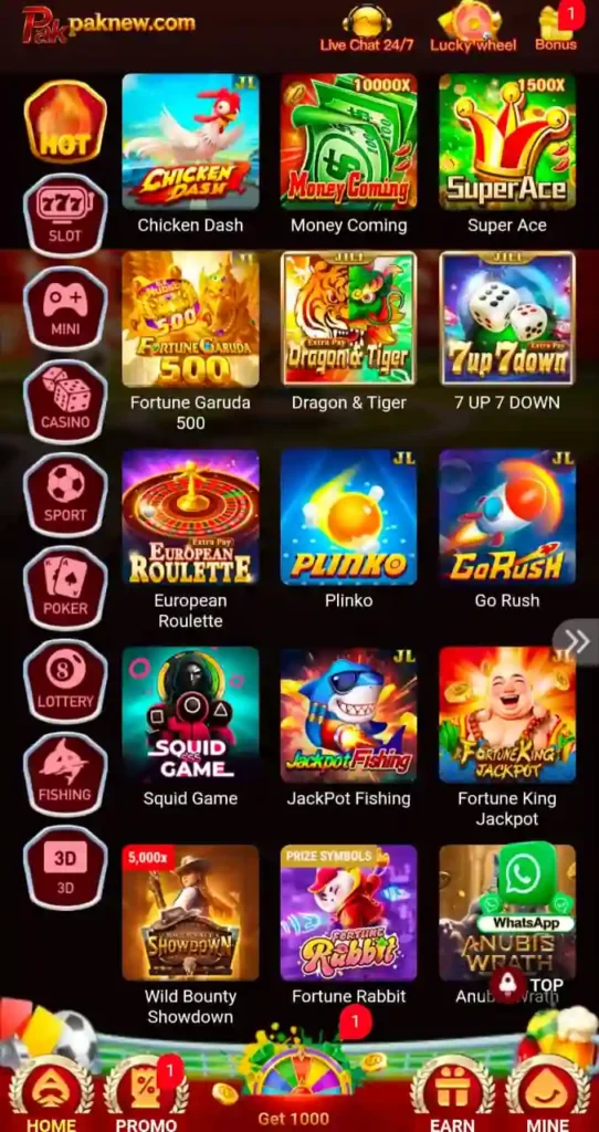 Pak New Game 2026
