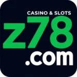 Z 78 Game